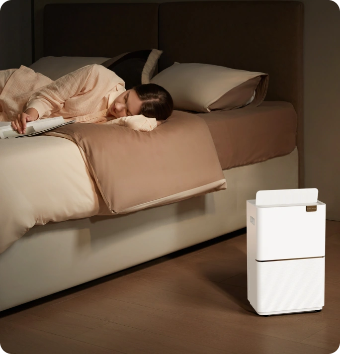 Quiet Dehumidification for a Peaceful Night