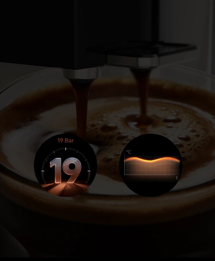 Golden Silky-Smooth <br class="coffeemas_c-pc-hide">Extraction System
