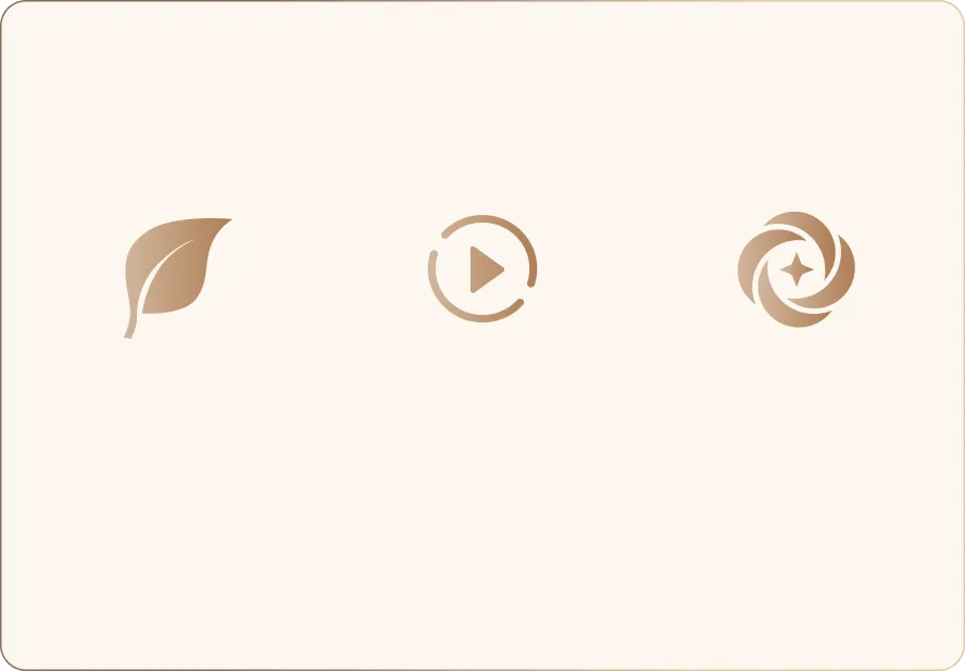 3 Switchable Modes