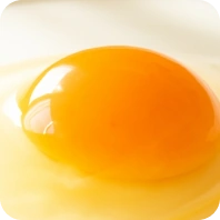 Egg