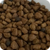 Pet Food
