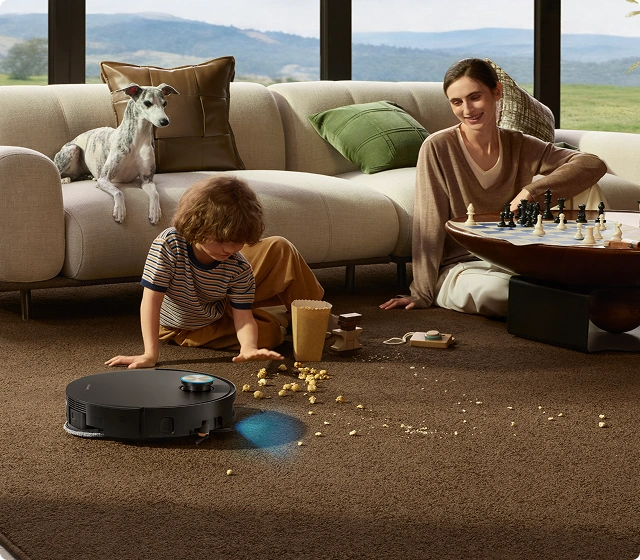 Your Rugs, Your Rules