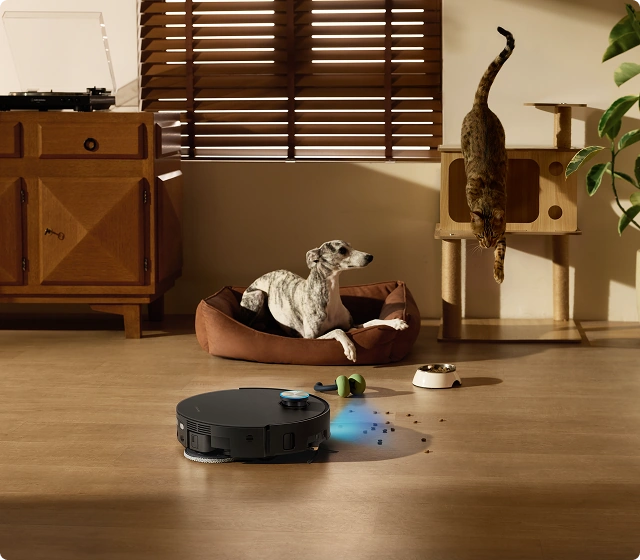 Targeted Pet Area Cleaning
