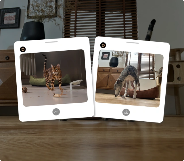 A New Pet-spective on Habits
