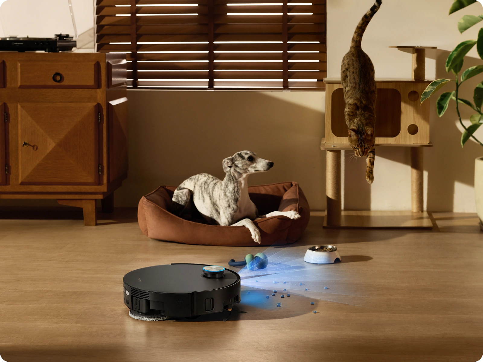 Targeted Pet Area Cleaning