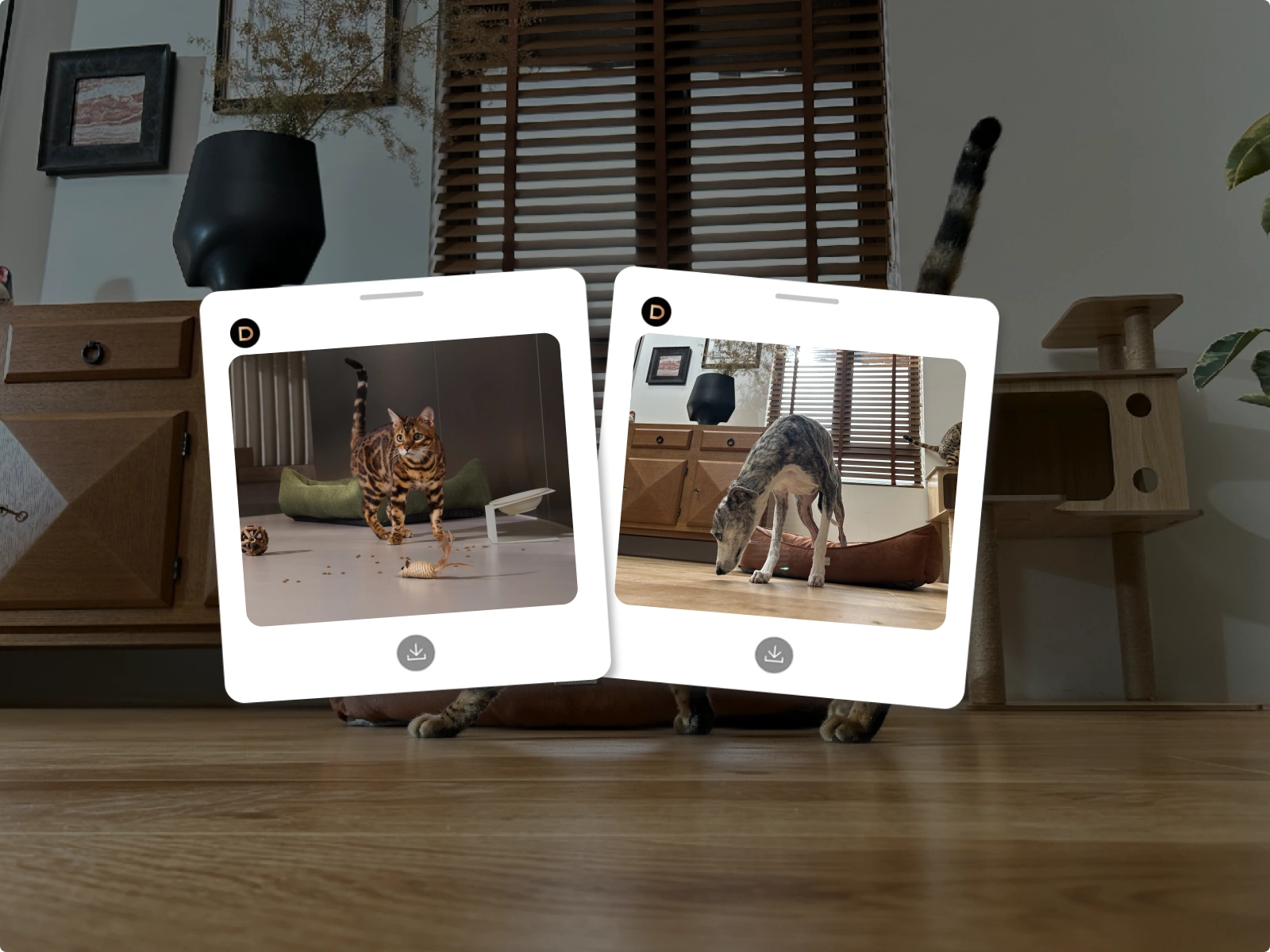 A New Pet-spective on Habits